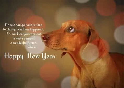 Happy New Year!! | Happy new year dog, Happy new year pictures, Happy new year funny