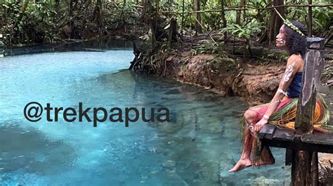 5 days-Raja ampat Birds Photography | Trek-Papua