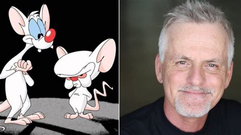 'Pinky and the Brain' Voice Actor Rob Paulsen on How Humor Got Him Through Throat Cancer ...