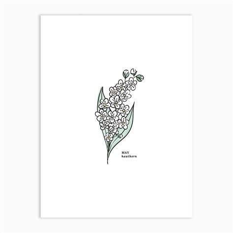 May Hawthorn Birth Flower Art Print by Jande Summer - Fy