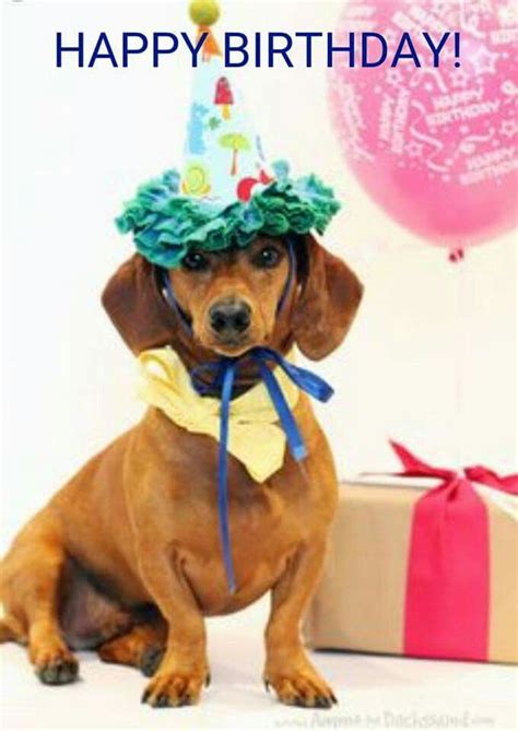 Happy Birthday Dachshund, Happy Birthday Meme, Birthday Week, Today Is My Birthday, Dog Birthday ...