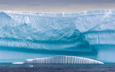 West Antarctic ice melt is now ‘unstoppable,’ NASA report says | Al Jazeera America