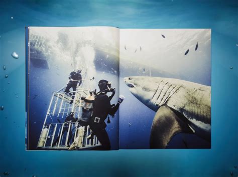 Michael Muller. Sharks. TASCHEN Books