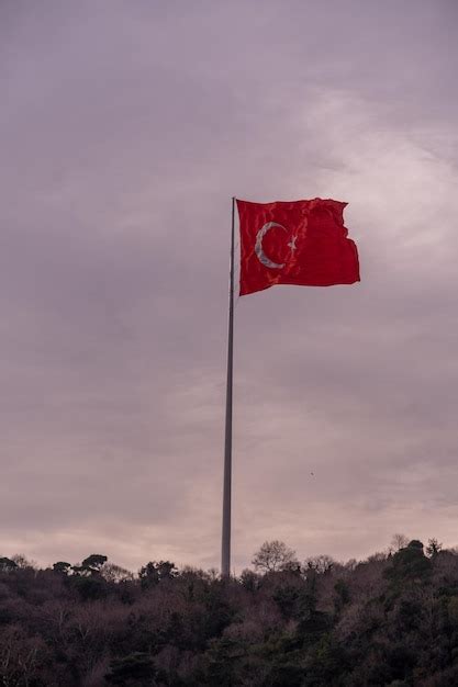 Premium Photo | Flag of turkey