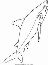 Squalo Scribblefun Crayola Sketch Coloring Page sketch template