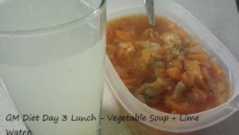 Testing GM Diet Day 3 Vegetables And Fruits Indian Version - inHouseRecipes