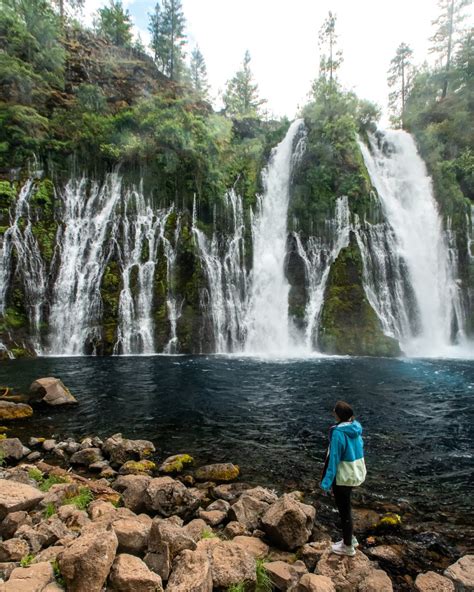 4 Incredible Mount Shasta Waterfalls - Lita of the Pack