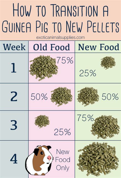 Guinea Pig Food Chart