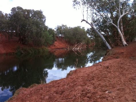 WA: Ashburton River