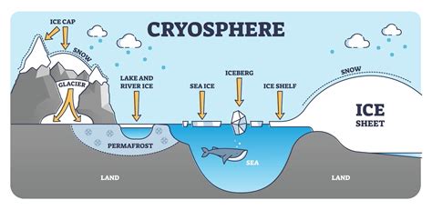 Microbiology of the Cryosphere