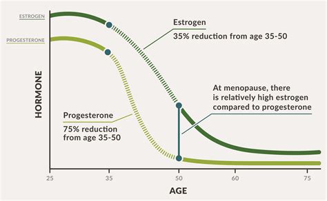 에스트로겐 우세증(Estrogen dominance) 원인, 증상, 해결책 ; 생리량이 많아지고, 자궁근종, 신경이 예민함을 ...