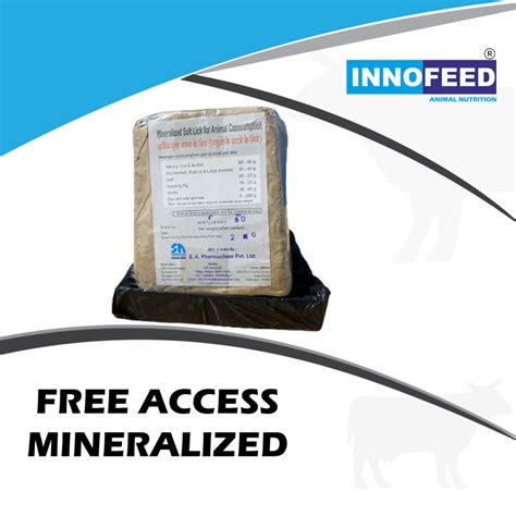 FREE ACCESS MINERALIZED / SALT LICK FOR ANIMALS – Innofeed