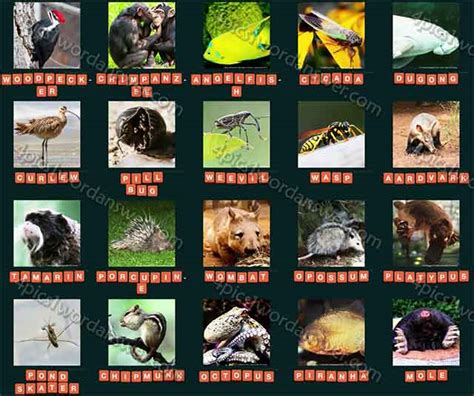 Guess Animal 2015 Level 201 - 220 Answers | 4 Pics 1 Word Daily Puzzle ...