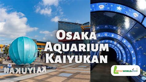 Important to know about Osaka Aquarium Kaiyukan | Japan