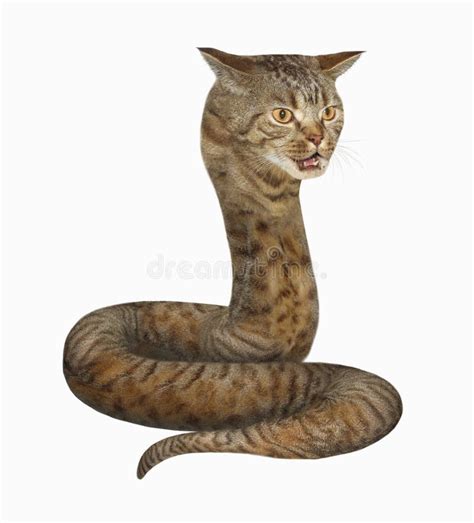 The cat snake stock image. Image of teeth, background - 76785379