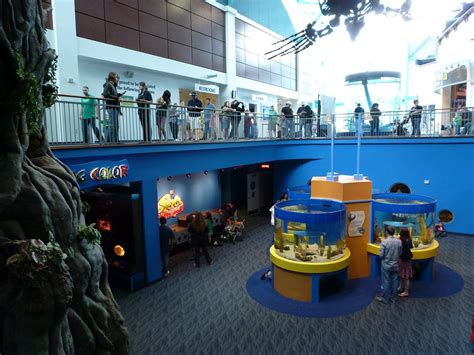 Kentucky Travels: Ripley's Aquarium- Gatlinburg, TN