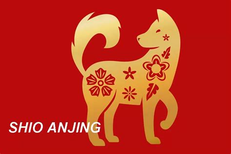 Shio Anjing 2023, Simak Karakteristik dan Ramalannya di Sini!