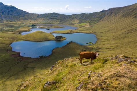 The Unspoiled Nature: Top Natural Landscapes of the Azores