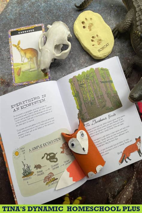 How to Create a Homeschool Zoology Unit Without a Curriculum and Cute Fox Craft (notebooking pages)