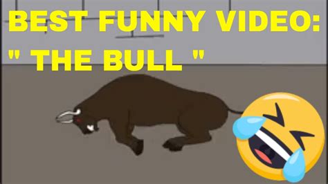 Best Funny Video 2021: " The Bull " - YouTube