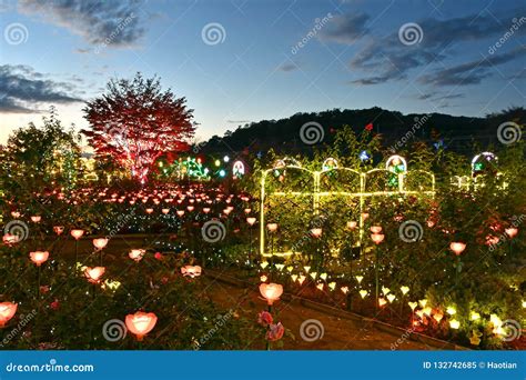 Ashikaga Flower Park Winter Illumination 2018 Stock Image - Image of flower, lights: 132742685