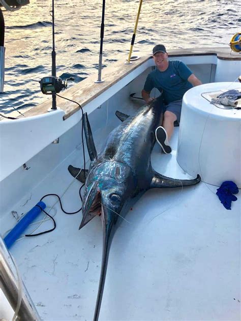 Wild Chesapeake: State Record Swordfish Caught in Va. | Chesapeake Bay Magazine