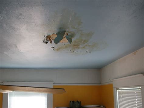 How To Fix Drywall Ceiling Leak | Shelly Lighting