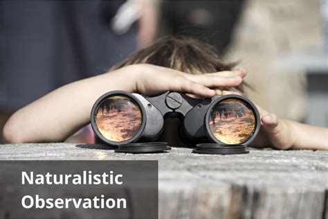 Naturalistic Observation: Definition and Examples | Total Assignment Help