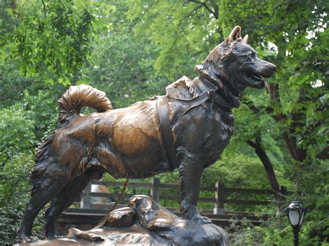 The Balto Statue in Central Park - Discover NYC