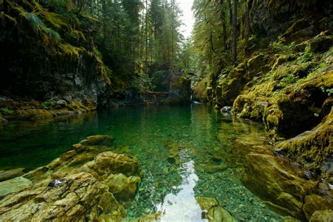 The 12 best rainy day hikes around Oregon - oregonlive.com