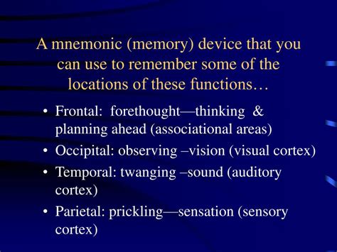 PPT - Biological Psychology PowerPoint Presentation - ID:178863