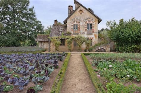 Monastic Herb Gardens and Medieval Cottage Garden Design - The Creative ...