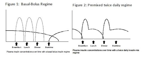 Basal Bolus Insulin Regimen Type 2 Diabetes - DiabetesWalls