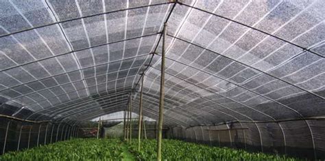 UV Resistant Plastic Shade Netting Screen for Greenhouse Covering Fabric