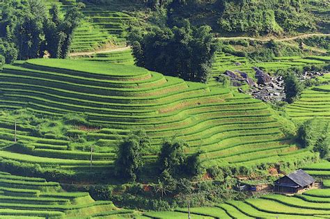 The Rice Terraces of the Philippines – Oro Gold Stores