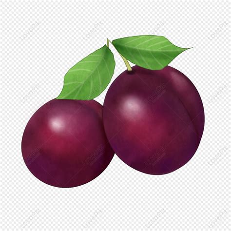 Two Purple Plums Cartoon Illustration PNG Transparent Image And Clipart Image For Free Download ...