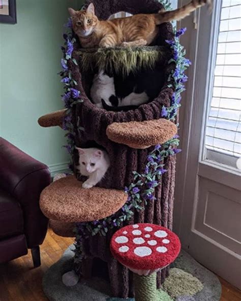 unique cat tree with mushroom | Cat tree house, Unique cat trees, Cool ...