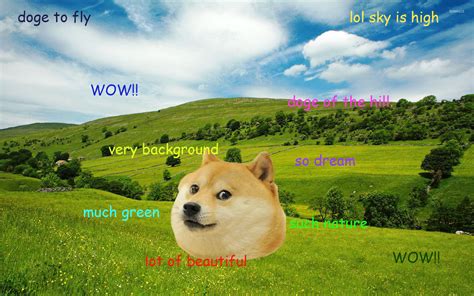 Doge Meme Wallpaper (85+ images)