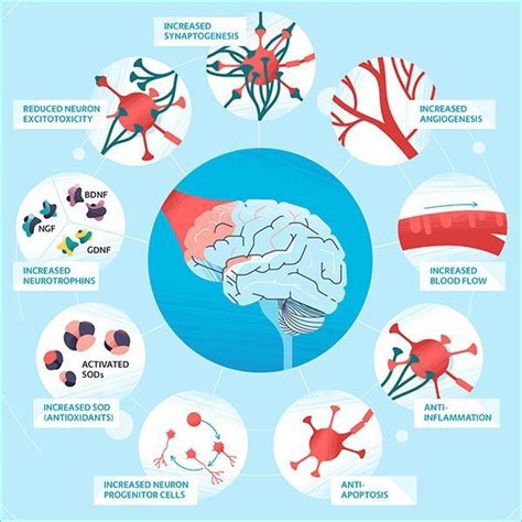 Brain Photobiomodulation - Vielight Inc - Deutsch