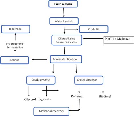 Diagrams illustrating the main steps for production of biofuel and... | Download Scientific Diagram