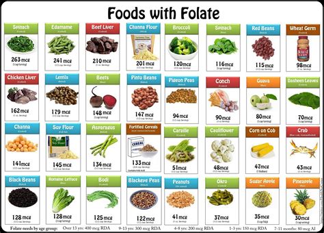 Foods Filled with important blood building vitamin-folate Be sure to ...