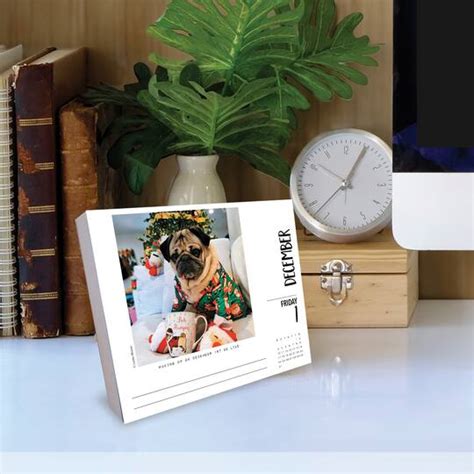 2023 Doug the Pug Box Calendar | Desk Calendars | Michaels