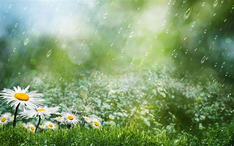 Rain wallpaper HD ·① Download free awesome full HD wallpapers for desktop and mobile devices in ...