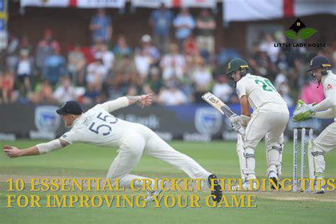 10 ESSENTIAL CRICKET FIELDING TIPS FOR IMPROVING YOUR GAME – Little ...