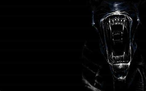 Xenomorph Wallpapers - Wallpaper Cave