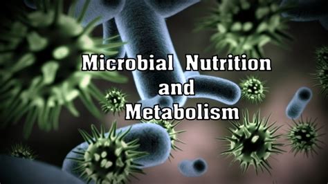 Microbial Nutrition and Microbial Metabolism- Microbiology Notes ...