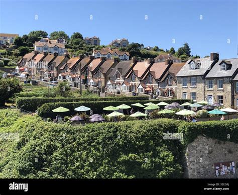 View over the beer garden of The Anchor Inn and Common Lane, Beer, Devon, UK Stock Photo - Alamy