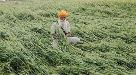 Punjab Assembly passes Agriculture Indebtedness Bill