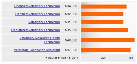 Is Becoming a Vet Tech a Good Career? | Veterinary Technician