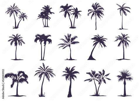 A large set of silhouettes of Palm trees. Palm tree silhouette for your ...